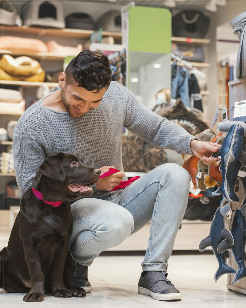 Pet shops na Vila Nova Cachoeirinha, São Paulo – O Melhor da Cachoeirinha